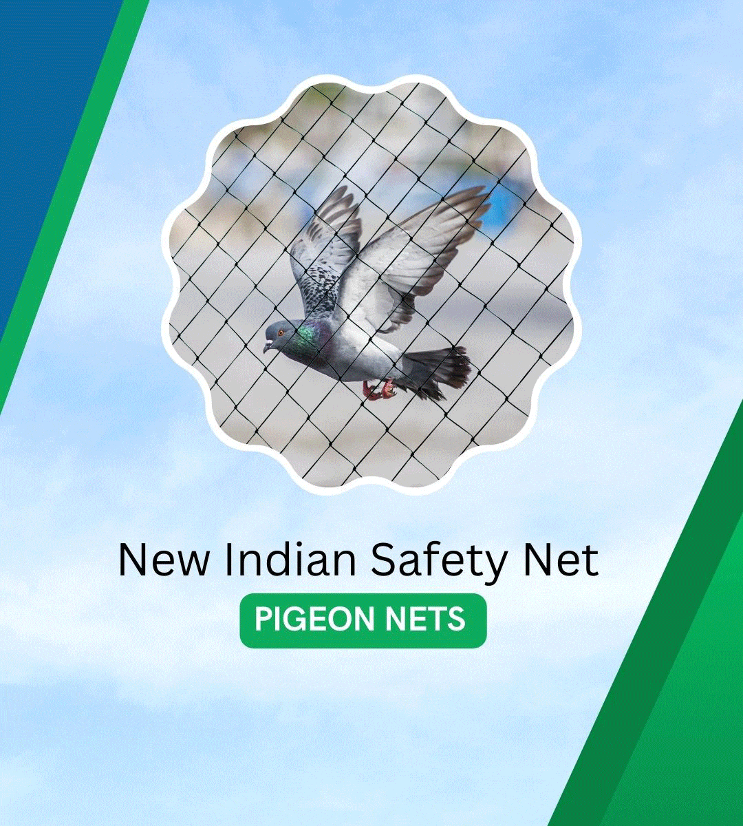 Best Pigeon Net in Pune Maharashtra